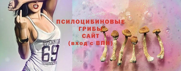 PSILOCYBIN Алексин