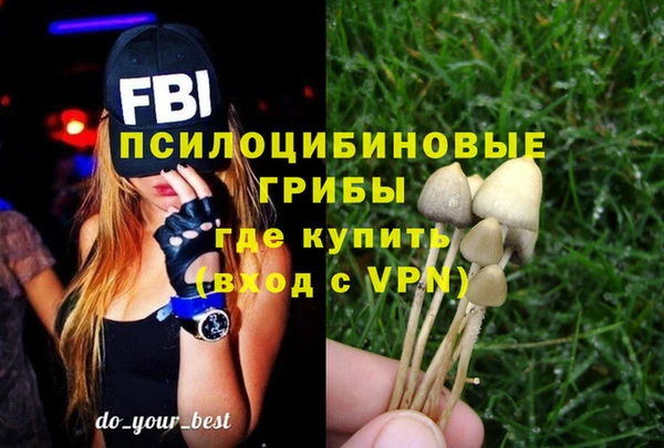 амфетамин Алексеевка
