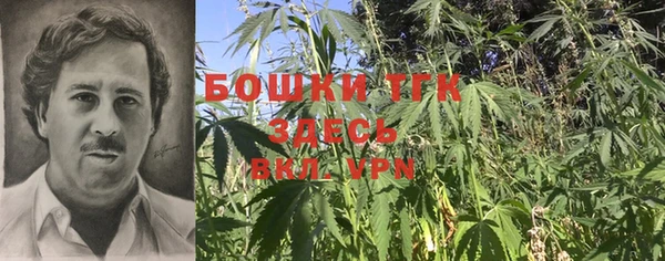 PSILOCYBIN Алексин