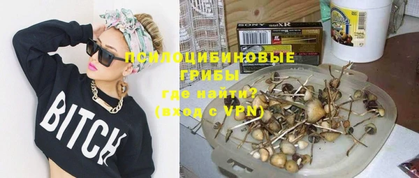 PSILOCYBIN Алексин