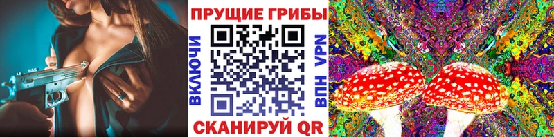Псилоцибиновые грибы Psilocybine cubensis  Шадринск 